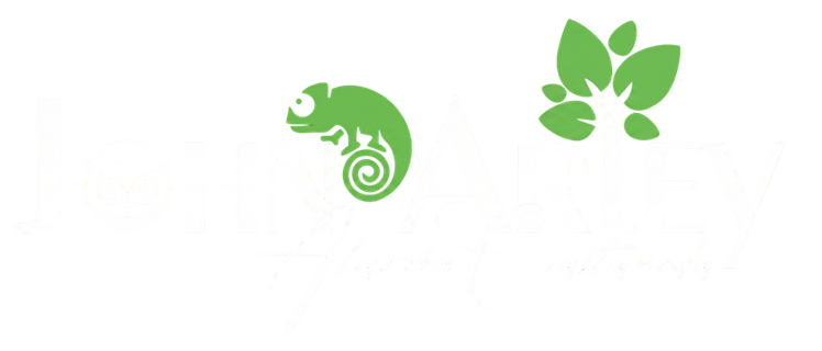 John Alarcón Servicios Forestales 